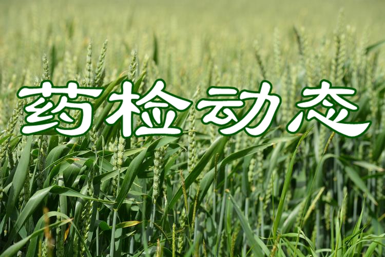认真学习《习近平谈治国理政》第五卷 切实把学习成果转化为做好本职工作的强大动力